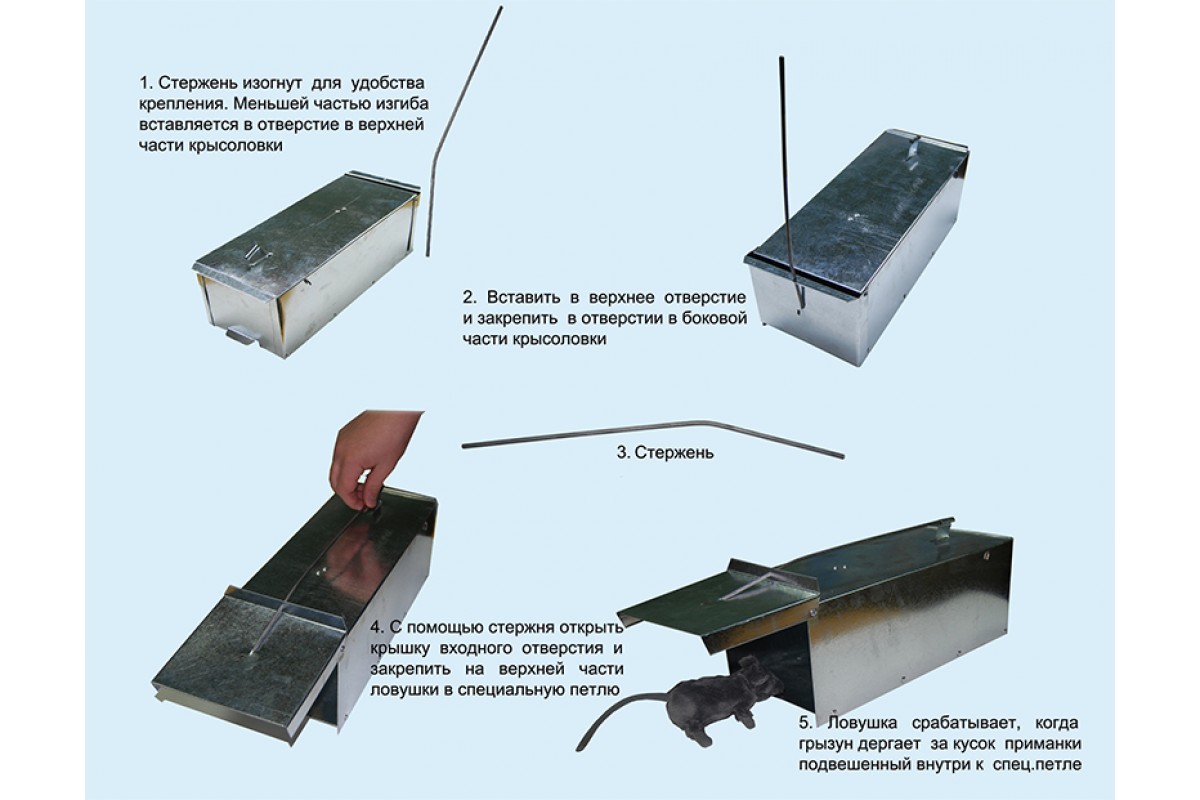 Крысоловка своими руками чертежи